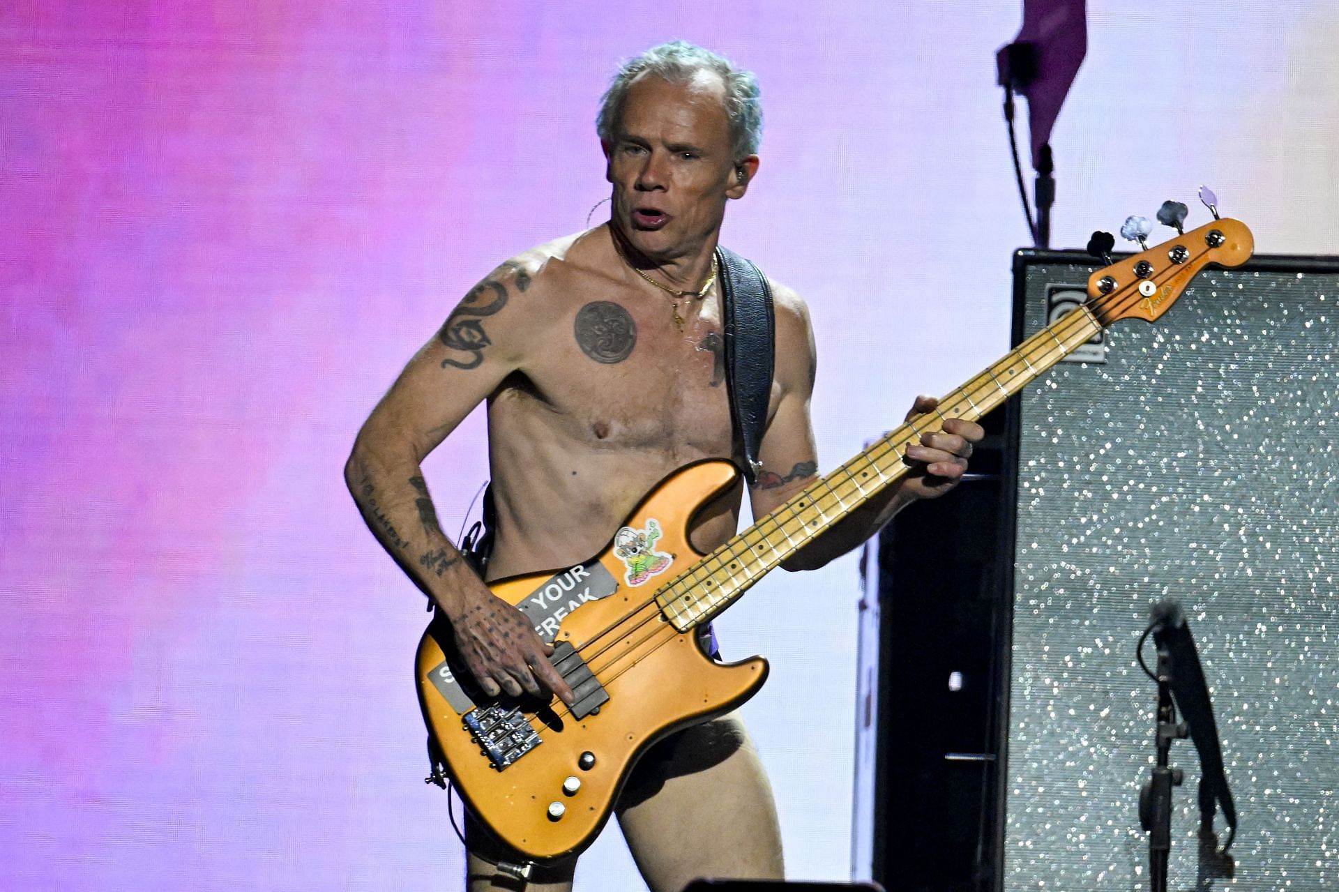 Flea of Red Hot Chili Peppers performs onstage during FIREAID (Image via Getty)